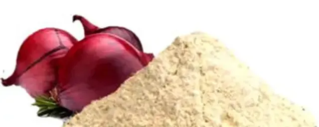 ELA onions powder