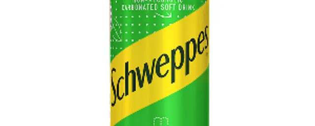 Schweppes virgin mojito 6pcs