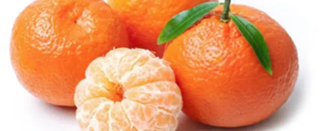 tangerine fruit