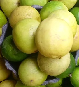 Lime oranges