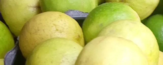 Lime oranges