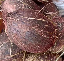 COCONUT