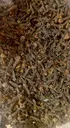 CLOVES