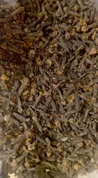 CLOVES