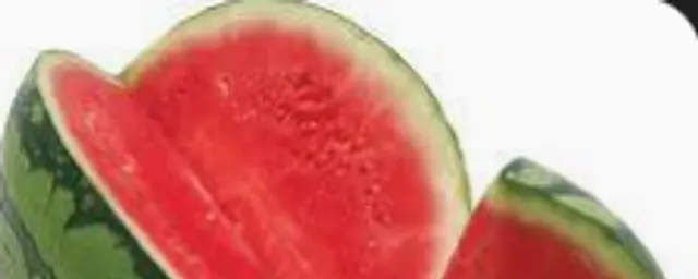 Watermelon(small)