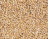 white millet
