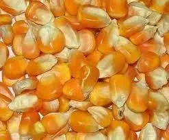 per mudu