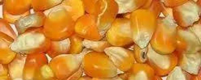 per mudu