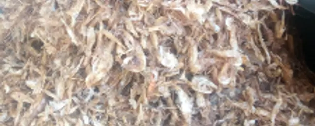 Crayfish(Unblend)