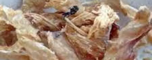 Stock fish