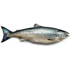 Salmon 1.9kg