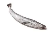 Hake medium size