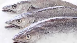 Hake