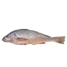 Crocker per kg