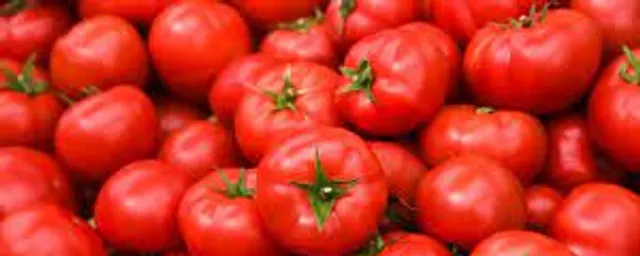 Tomatoes