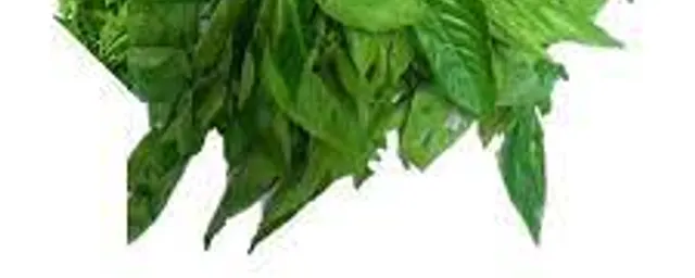 Ewedu