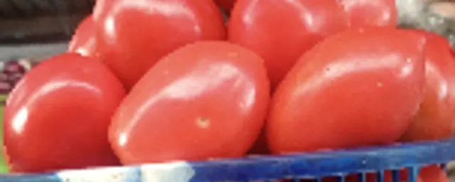 Full basket Tomatoes