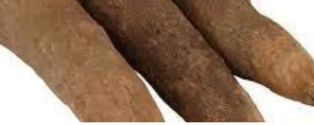 Yam