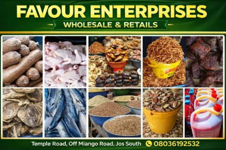 Favour Enterprise banner