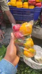 bell pepper