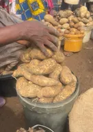 sweet potatoes