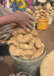 sweet potatoes