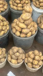 Irish potatoes