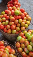 tomatoes