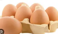 Egg