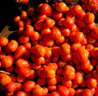 Kugiya  Buruku Tomatoes Market logo