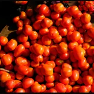 Kugiya Buruku Tomatoes Market logo