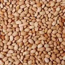 Oloyin beans (per mudu