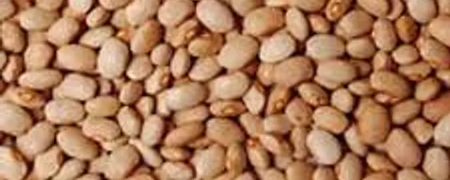 Oloyin beans (per mudu