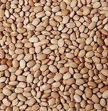 Olo drum beans