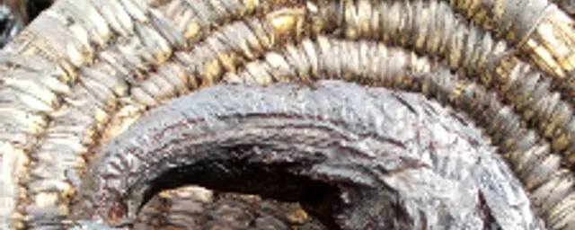 Smoked Catfish