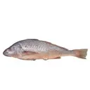 Crocker per kg