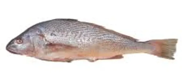 Crocker per kg