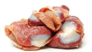 Gizzard