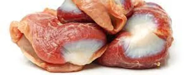 Gizzard
