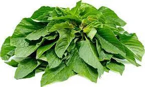 Scent leave