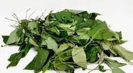 Uziza leaf