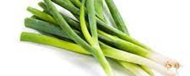 Spring onion