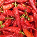 Bawa
