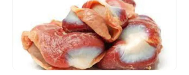 Turkey Gizzard