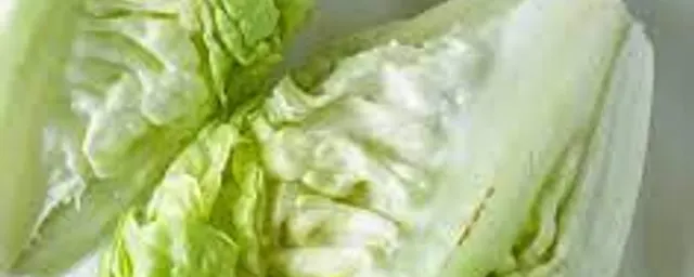 Lettuce
