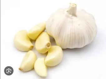 garlic