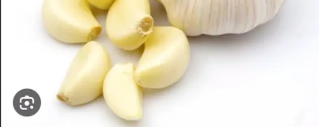 garlic