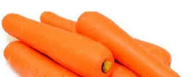 Carrot