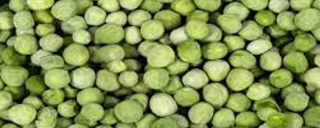 green pea