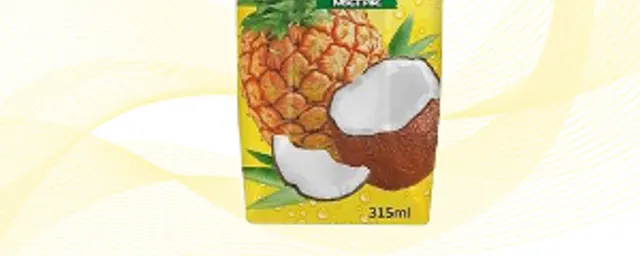 Chivita Exotic 315ml
